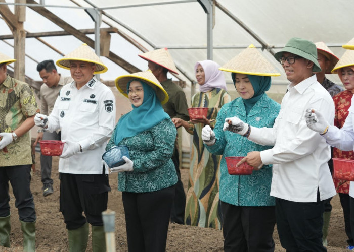 Desa Tungku Jaya OKU Jadi Sentra Budi Daya Bawang Merah