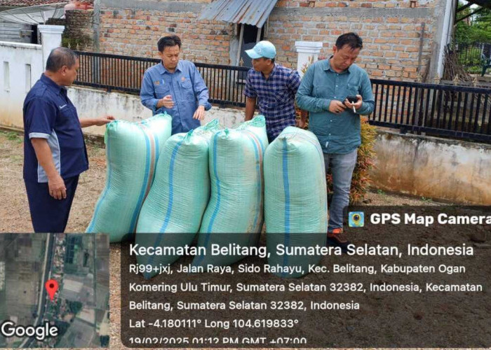 Bulog OKU Serap 1.500 Ton Beras Petani di OKU Timur