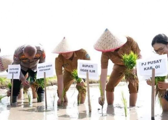 Gertam di Ogan Ilir, Bupati Panca Ajak Petani Percepat Tanam Hadapi Ancaman El Nino
