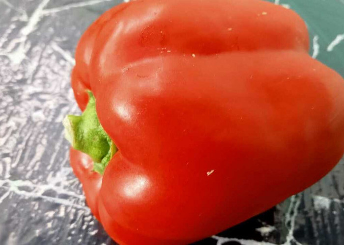 Paprika : Si Cabai Manis Penuh Warna Bantu Menjaga Fungsi Otak