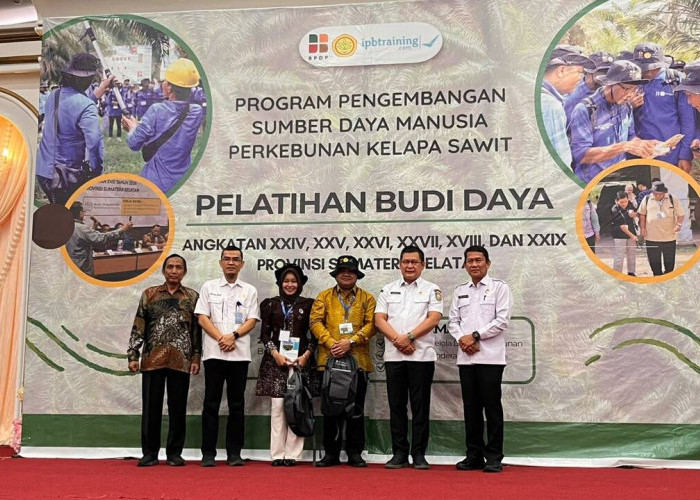 Sawit Rakyat OKU Punya Ruang Tumbuh, Tumpang Sari Didorong Jadi Penopang Pendapatan