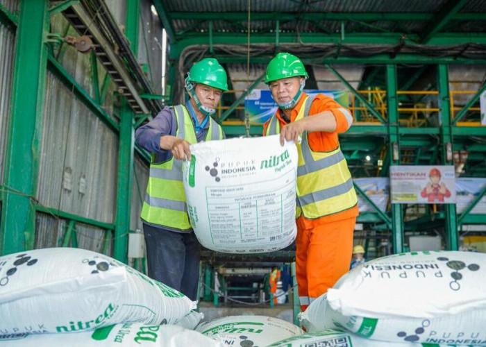 Perkuat Ketahanan Pangan, Pusri Jamin Ketersediaan Pupuk di Sumbar