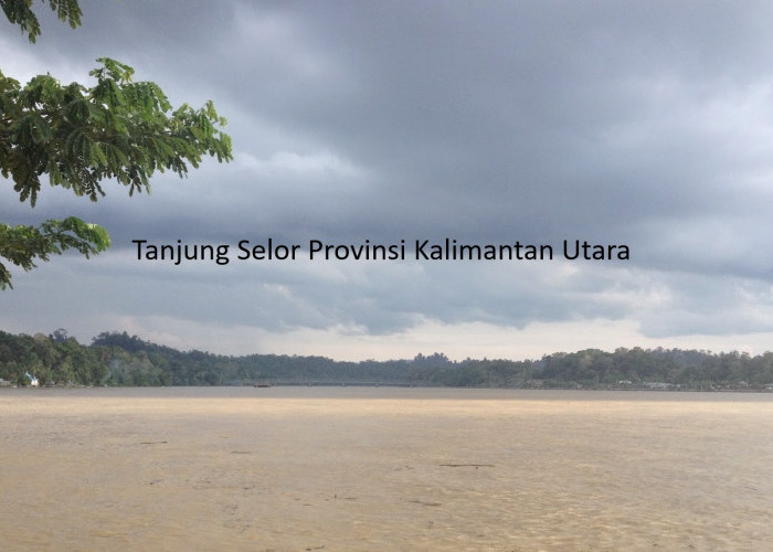 Pemekaran Wilayah Provinsi Kalimantan Utara: Tanjung Selor Ibu Kota yang Berkilau untuk Masa Depan Kaltara