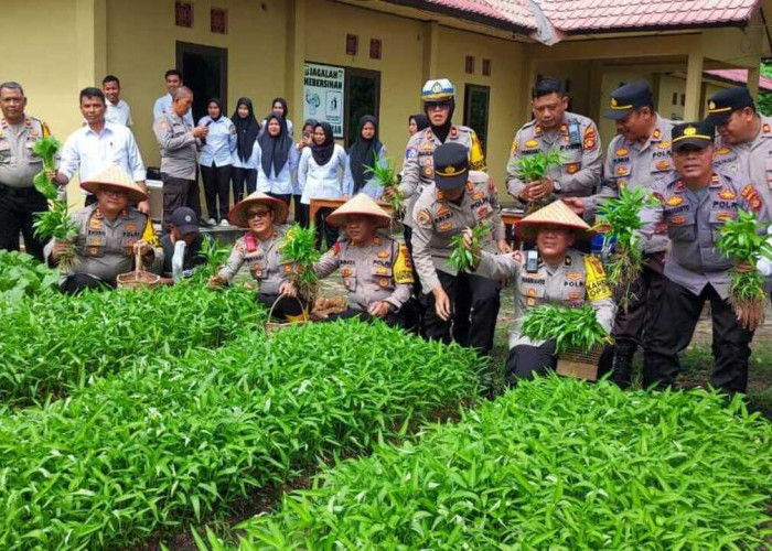 Program Pekarangan Pangan Bergizi: Polres Prabumulih Panen Sayuran di Halaman Rumah Dinas