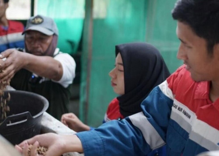 PHE Ogan Komering Wujudkan Desa Hijau dan Mandiri melalui Kompas Lestari