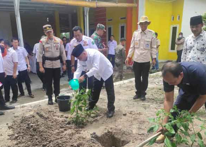 Pemanfaatan Lahan Perkarangan, Ini Yang di Gelorakan Pemkab Muba