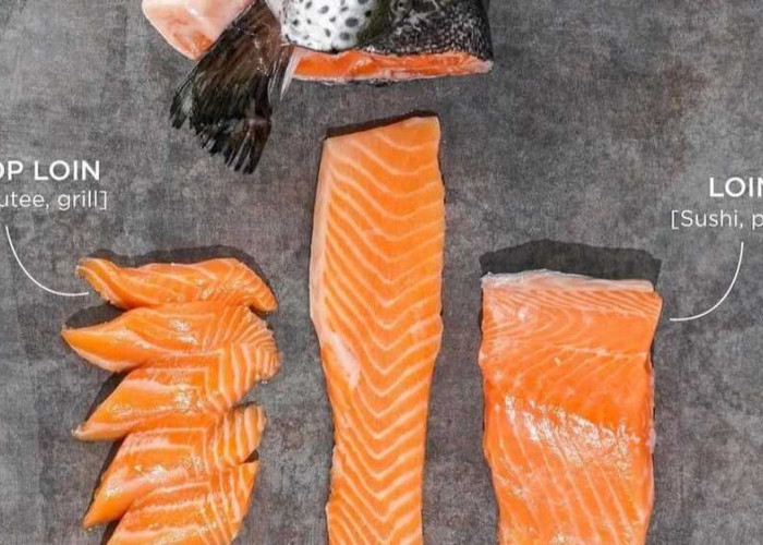 Tingkatkan Kesehatan Anda dengan Manfaat Ikan Salmon yang Luar Biasa