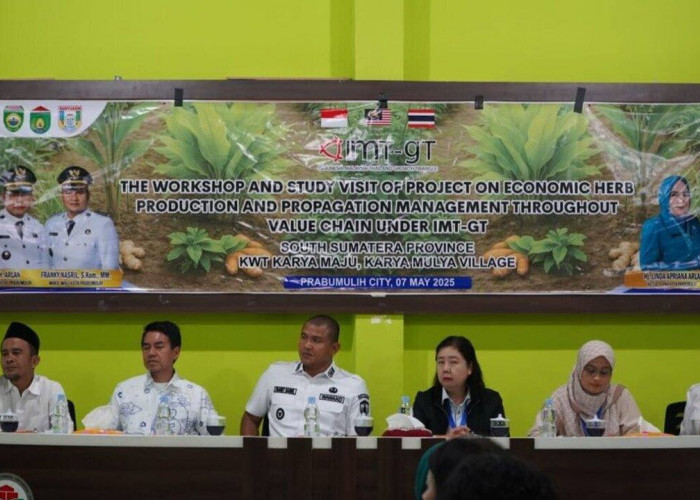 Terima Kunjungan Delegasi dari Malaysia dan Thailand, Wawako Prabumulih Pamerkan Pengolahan Serat Daun Nanas