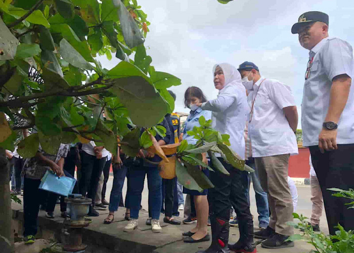 Halaman RSI Indonesia School Tutupi Saluran Air, Pemkot Palembang Segera Bongkar Bongkahan Bangunan