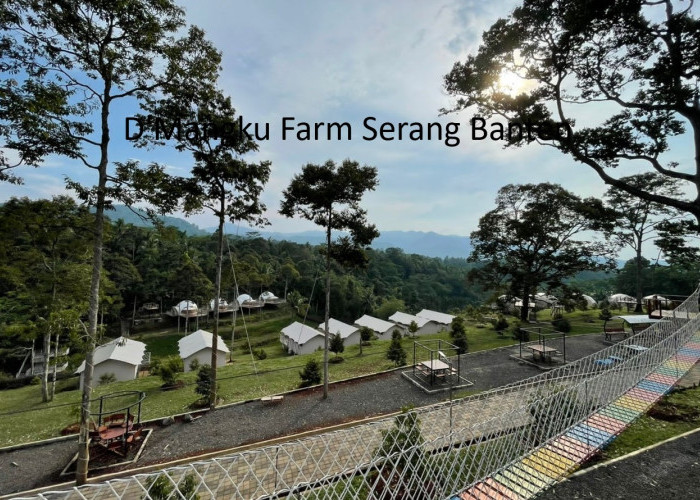 Serunya Liburan di D'Mangku Farm Camping Indah di Puncak Bukit Serang Banten