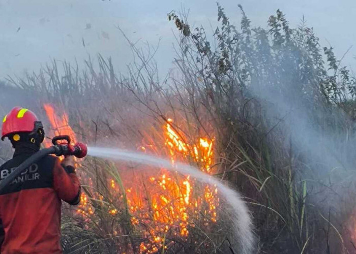 1.050 Hektare Lahan di Ogan Ilir Terbakar, Dengan 340 Kejadian
