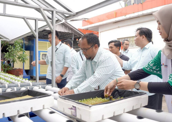 Pertamina Patra Niaga Regional Sumbagsel Gelar Aksi Nyata dalam Peringatan Hari Lingkungan Hidup Sedunia 2025