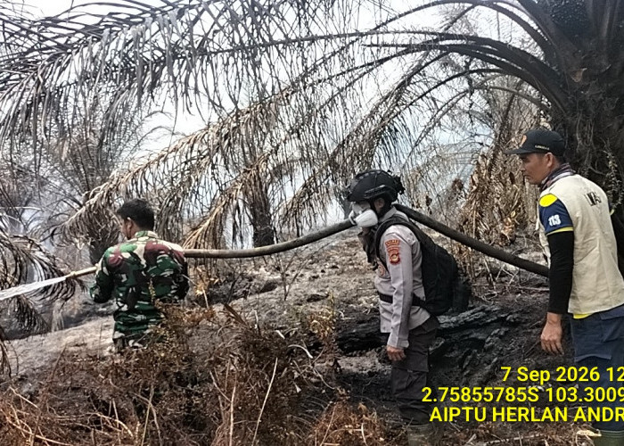 2 Titik Hotspot Terdeteksi di Kebun Sawit PT PPA Sanga Desa, Tim Gabungan Lakukan Pemadaman