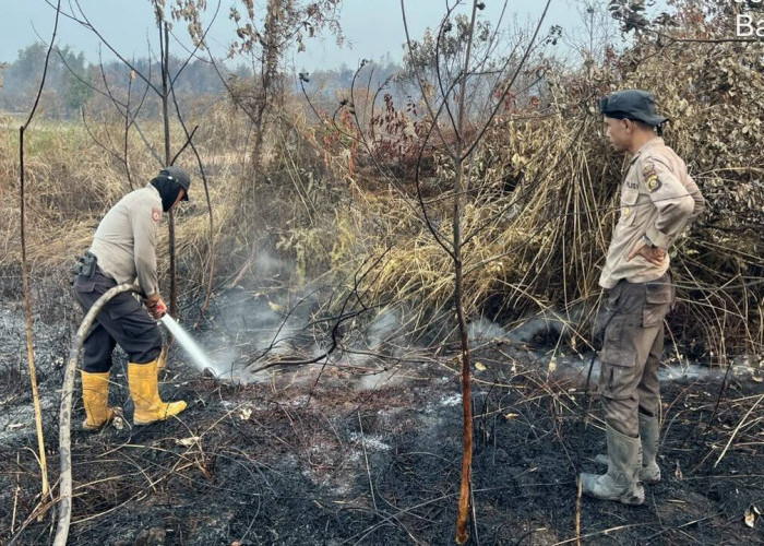 Satgas Karhutla Polda Sumsel Padamkan Kebakaran Lahan 2 Hektare di Bakung