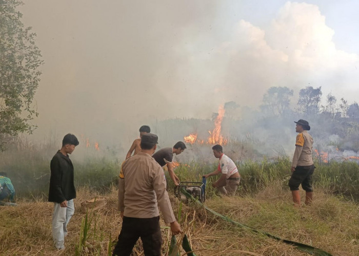Karhutla Menyasar Lahan Warga Semi Gambut di Desa Kelampaian Ogan Ilir