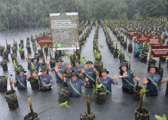 Komitmen Pelestarian Ekosistem, Pertamina Drilling Laksanakan Penanaman 1.000 Pohon Mangrove