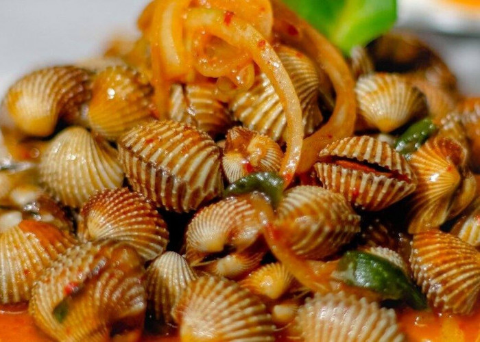 Kerang Dara Saus Padang : Nikmatnya Hidangan Laut dengan Sensasi Pedas Manis