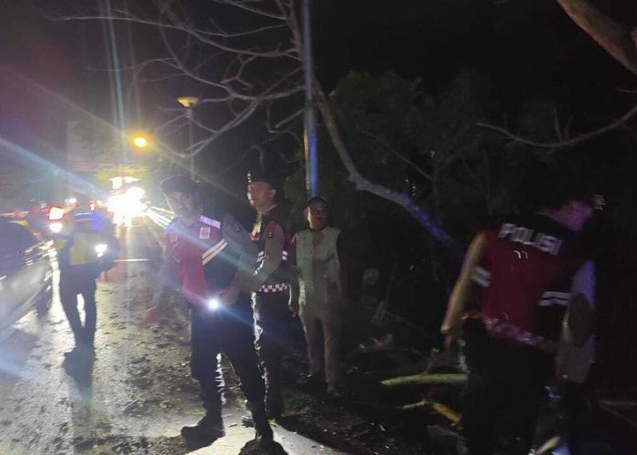 Satu Jam Jalinsum di Jembatan RCA Lubuklinggau Macet Total, Ini Penyebabnya!