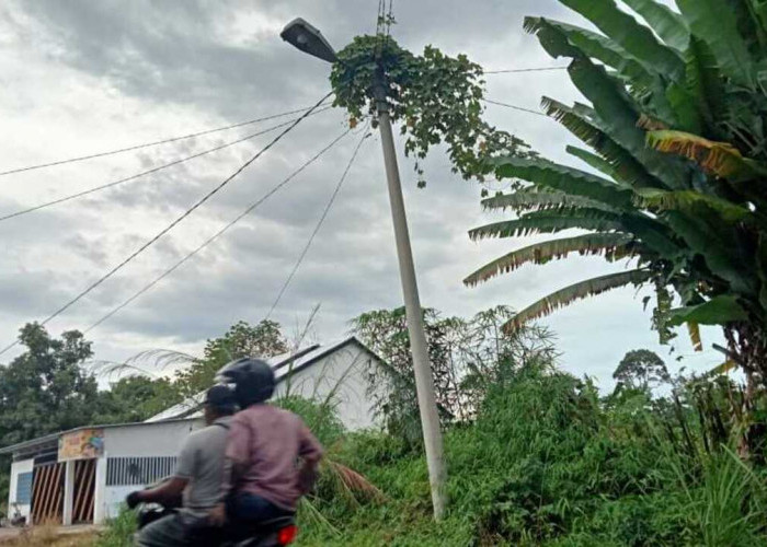 Lampu Jalan Tak Kunjung Diperbaiki Warga Minta Perhatian Serius Pemkot Lubuklinggau