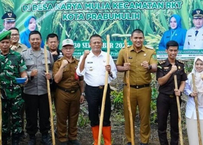 Pemkot Prabumulih Dorong Swasembada Pangan Lewat Penanaman Padi Gogo Sistem Tumpang Sari
