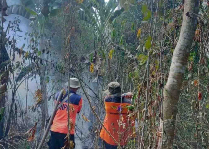 Karhutla Terjang Baturaja, Seribu Meter Persegi Lahan di Sekarjaya Hangus Terbakar