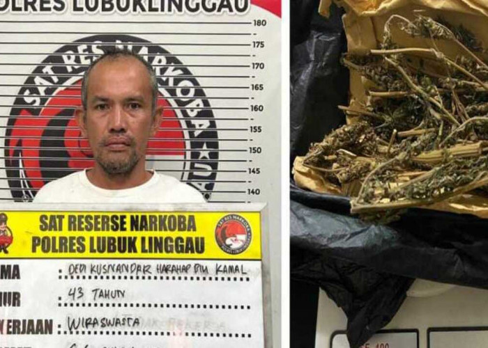 Terlibat Jaringan Peredaran Gelap Narkotika, Kusnandar Terancam Menua Dipenjara