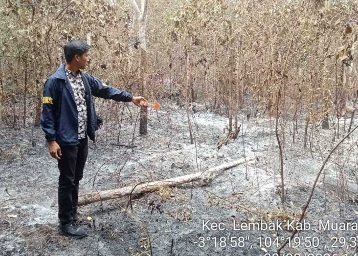 Operasi Aman Nusa II, Tim Gabungan Padamkan Karhutla Dekat Sumur Produksi Pertamina di Lembak