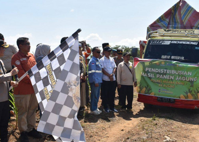 Panen Raya Jagung Serentak, Sukseskan Swasembada Pangan