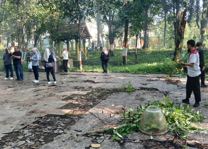 Sinergi Aktivis dan DLH Revitalisasi Hutan Kota