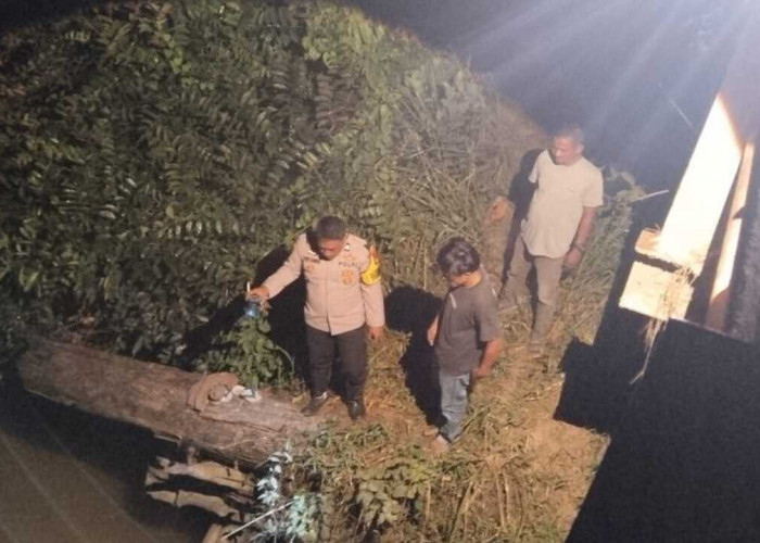 Terjun untuk Mandi, Pemuda 20 Tahun Hilang Terseret Arus Sungai Batanghari Leko