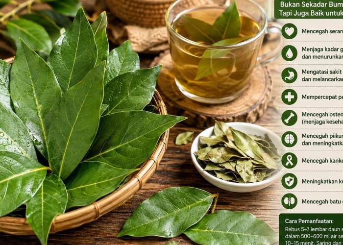 Daun Salam Bukan Sekadar Bumbu Masak, Ini Ragam Manfaatnya untuk Kesehatan dan Cara Mengolahnya