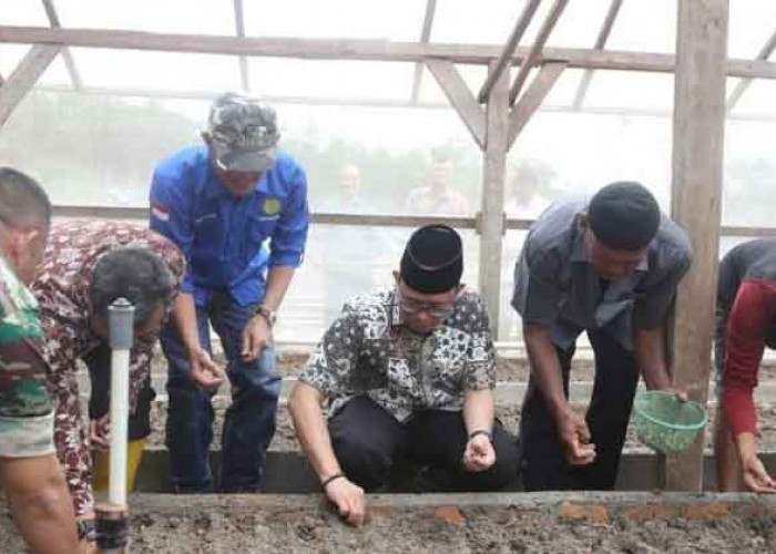 Desa Tungku Jaya OKU Diproyeksikan Jadi Sentral Budi Daya Bawang Merah