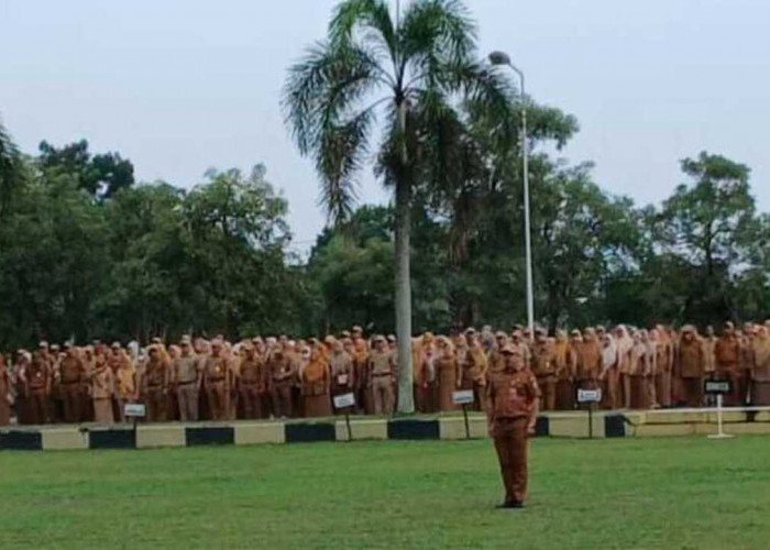 Belum Gajian Sejak Januari, PHL Pemkot Prabumulih Menjerit