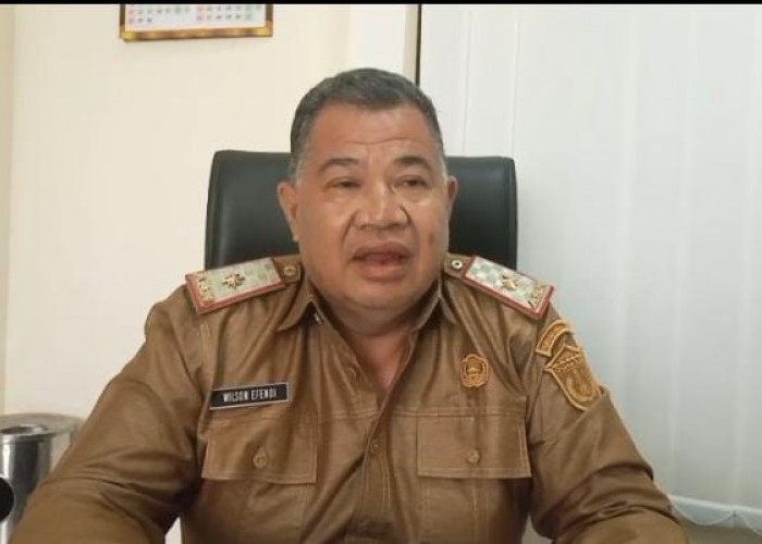 Kontroversi Kades Lolos P3K Paruh Waktu, BKDSDM Ogan Ilir Tunggu Keputusan Bersangkutan