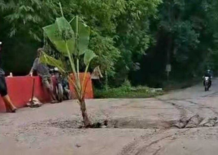 Warga Tanam Pisang di Jembatan Jebol Payaraman, DPRD Ogan Ilir Kritik Kualitas Pembangunan