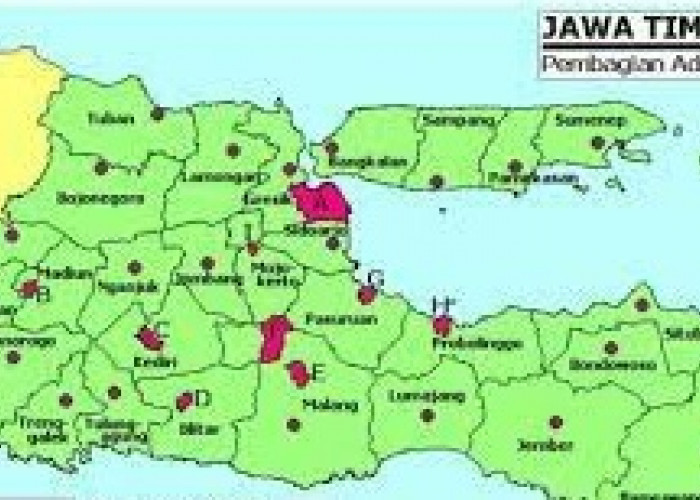 Muncul Usulan Provinsi Baru Pemekaran Provinsi Jawa Timur, 6 Kabupaten Kota Gabung Provinsi Malang Raya
