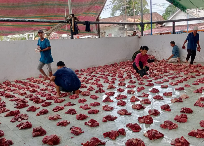 Masjid Agung Muara Enim Salurkan 700 Paket Daging Kurban