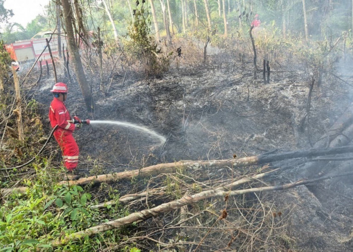 Ratusan Personel dan Armada Disiagakan, PHR Zona 4 Ikut Padamkan 113 Karhutla di Sumsel