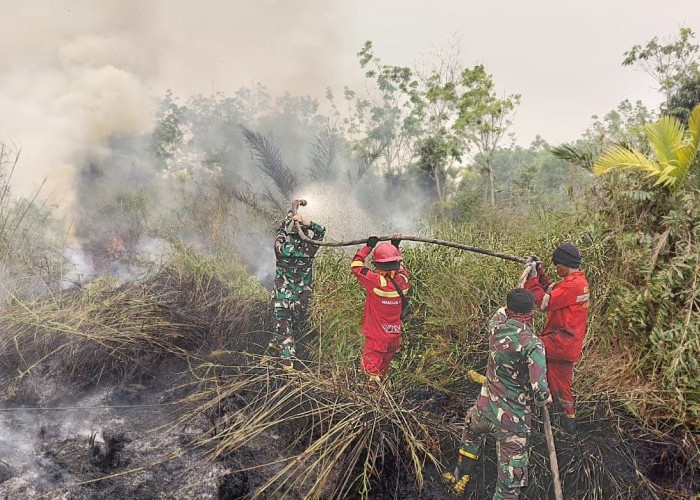 Gerak Cepat Tangani Karhutla Muara Medak, Dandim 0401/Muba Pimpin Pemadaman