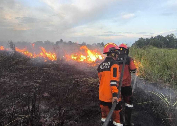Karhutla Kembali Terjadi di Ogan Ilir, 3,5 Hektare Lahan Terbakar di Sungai Rambutan
