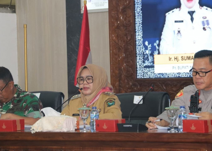 Pacu Ekonomi Lokal Lewat UMKM dan Forprov Sumsel