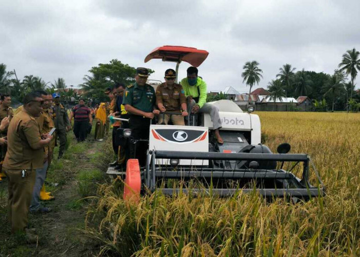 Pabung OI Apresiasi Petani di Pemulutan yang Terapkan Varietas Padi IP 200, Ini Alasannya!