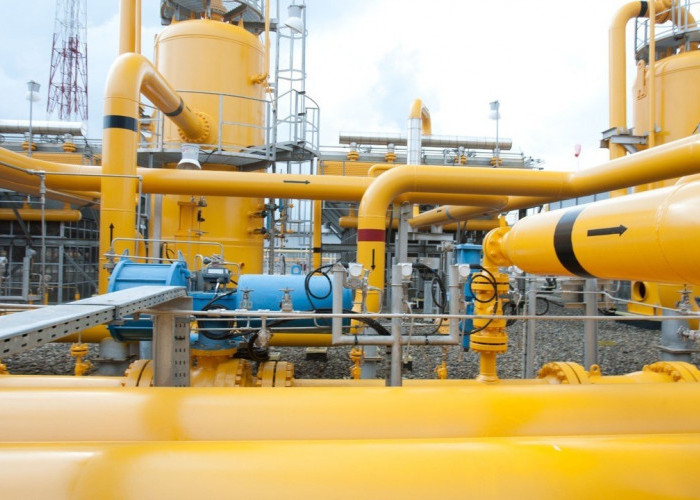 PGN Siap Integrasikan Biomethane ke Infrastruktur Gas, Dorong Pemanfaatan Energi Rendah Karbon
