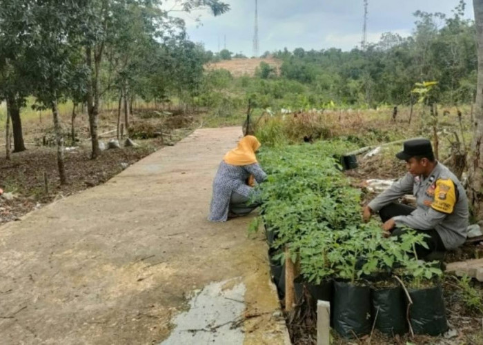 Inisiasi Program Ketahanan Pangan di Kelurahan Pasar 1