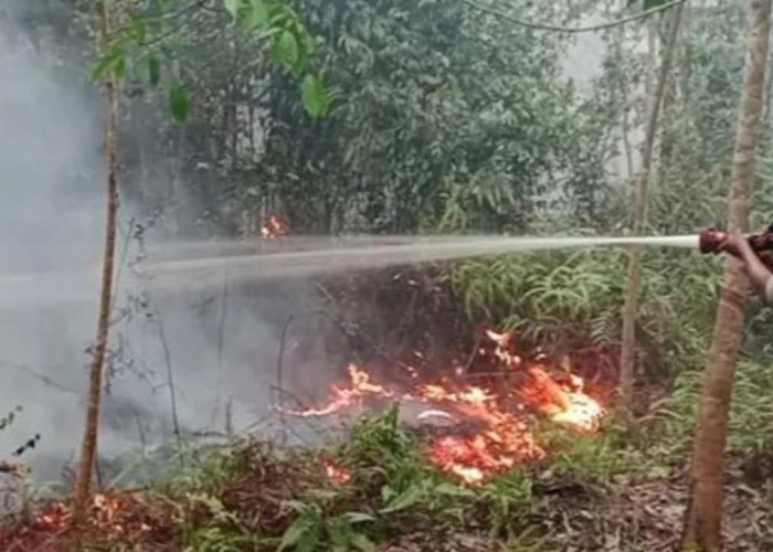 Karhutla Capai 60 Hektare, Suplai 9.000 Liter Air Dikerahkan