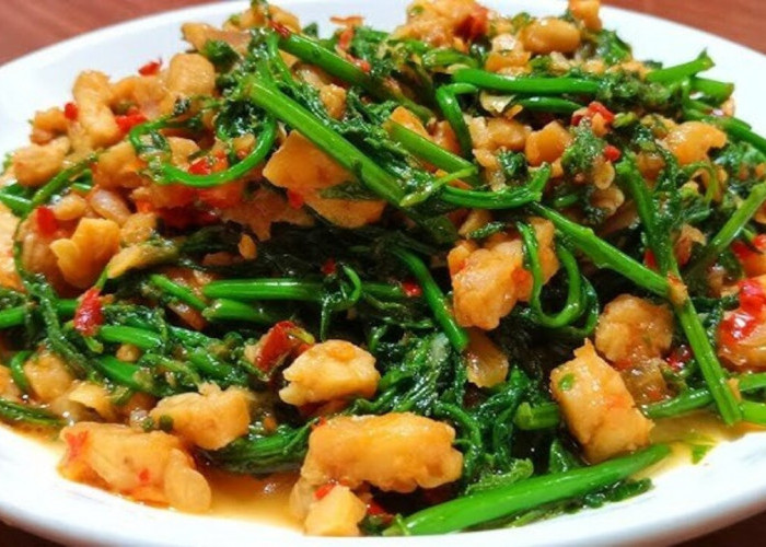 Tumis Pakis Tempe : Sajian Sederhana yang Kian Digemari Pecinta Kuliner Nusantara