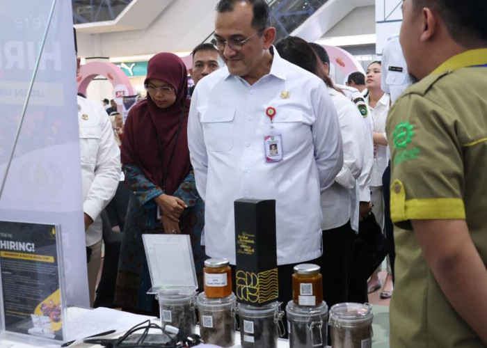Pemprov Sumsel Gelar Job Fair Besar-Besaran, 35 Perusahaan Buka Ribuan Lowongan