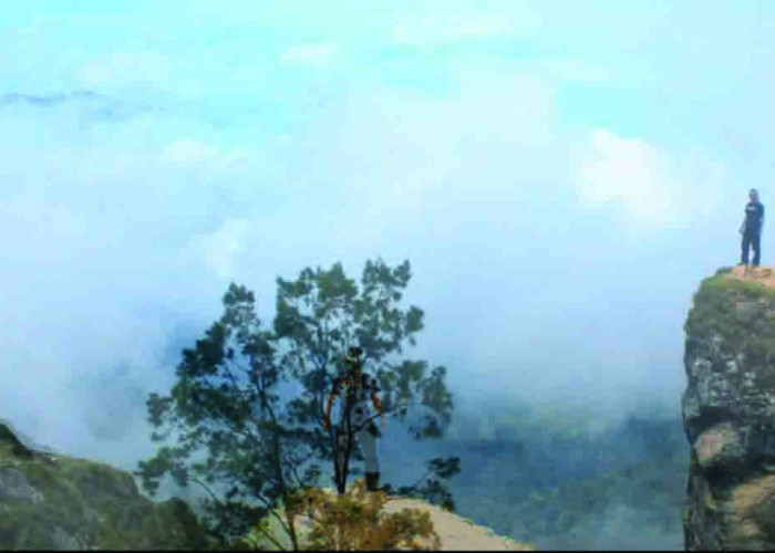 Fatumnasi, Desa di Atas Awan Gunung Fatu Timau NTT, Menawarkan Keindahan Alam Memukau