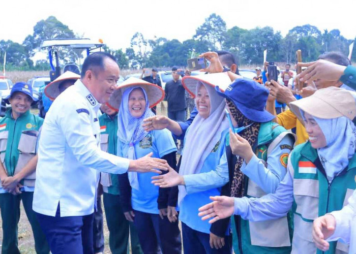 Panen Raya Jagung di OKU Selatan, Wagub Cik Ujang Tegaskan Komitmen Dukung Ketahanan Pangan Nasional