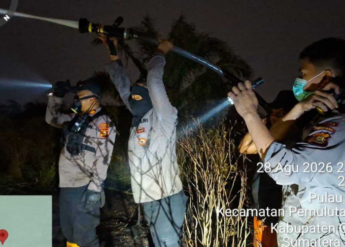 Karhutla Hanguskan 10 Hektare Lahan di Pulau Negara Ogan Ilir